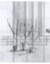 HANS OP DE BEECK (B. 1969)