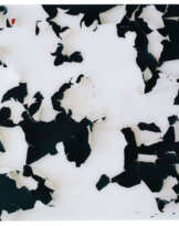 FRANK THIEL (B. 1966)