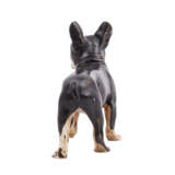 WIENER BRONZE 'Französische Bulldogge' - Foto 5