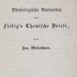 Moleschott,J. - photo 1