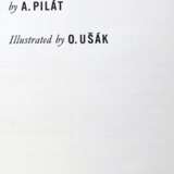 Pilat,A. - photo 1