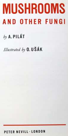 Pilat,A. - фото 1