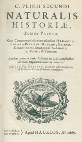 Plinius Secundus (d.Ä.). - фото 1
