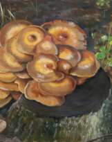 Mykologie.