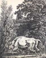 Kolbe, Carl Wilhelm d.Ä.