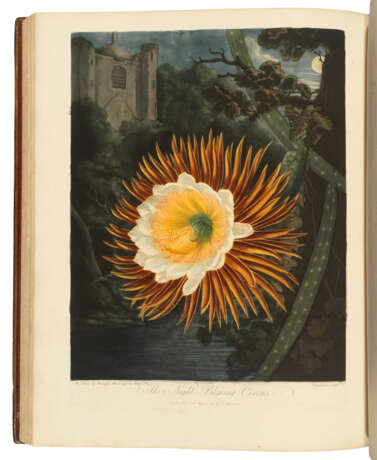 THORNTON, Robert John (1768-1837) - Foto 1