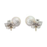 Klassische Ohrstecker mit Perlen und 6 Brillanten, zus. ca. 0,48 ct, - photo 3