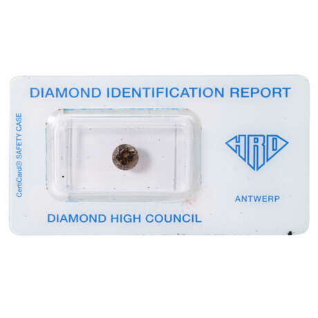 Loser Brillant 1,05 ct NFIB - фото 1