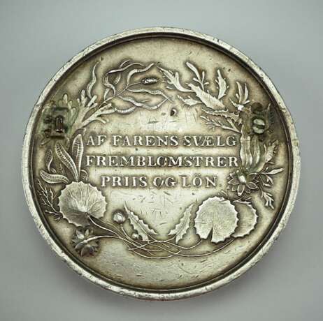 Dänemark : Medaille für Rettung aus Wassernot, (Frederik VI.), 1. Modell, 4. Typ. - Foto 2