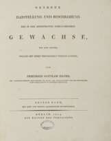 Hayne, Friedrich Gottlob