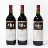 Chateau Mouton Rothschild - Foto 1