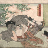 Sammlung von Buchseiten mit 'Shunga'-Szenen von diversen Künstlern - фото 2