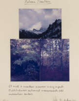 PETER HUTCHINSON 'AUTUMN MOUNTAIN' (1998)