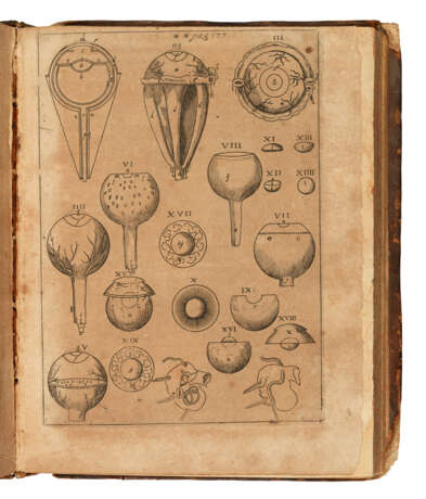 KEPLER, Johannes (1571-1630) - Foto 3