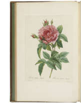 REDOUTÉ, Pierre-Joseph (1759-1840) and Claude Antoine THORY (1759-1827)