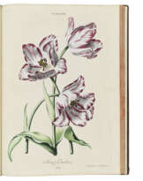 TREW, Christoph Jakob (1695-1769)