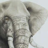 “African elephant” Paper Pencil Realist Animalistic 2017 - photo 1