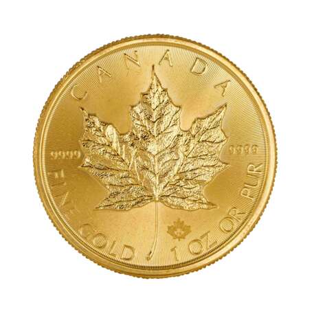 Kanada /GOLD - Elisabeth II. Maple Leaf 1 Unze 2019 50 $ - фото 2