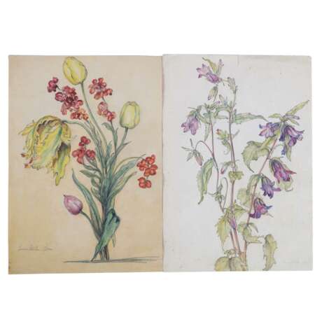 MÜLLER-PETERS, EMMA and ATTR. (artist 19th/20th c.), 6 floral still lifes, - Foto 4