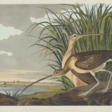AFTER JOHN JAMES AUDUBON (1785-1851) BY ROBERT HAVELL (1793-1878) - Auktionsarchiv