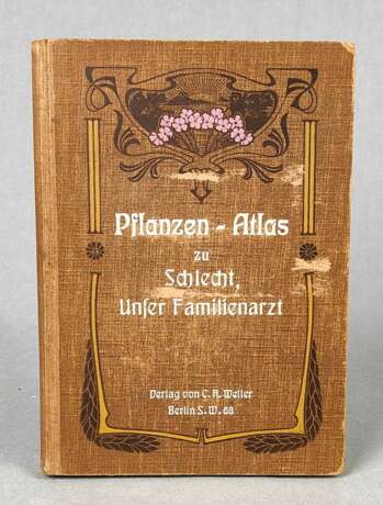 Pflanzen - Atlas 1909 - фото 1