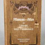 Pflanzen - Atlas 1909 - photo 1