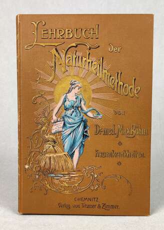 Lehrbuch der Naturheilkunde 1897 - фото 1