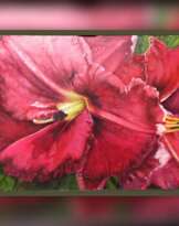 Откровенность Откровенность