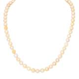WEMPE pearl necklace with loop jewelry clasp - Foto 1