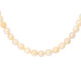 WEMPE pearl necklace with loop jewelry clasp - Foto 2