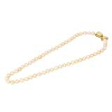 WEMPE pearl necklace with loop jewelry clasp - photo 3
