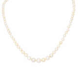 Necklace from natural pearls - Foto 1