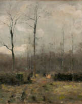 Waldlandschaft