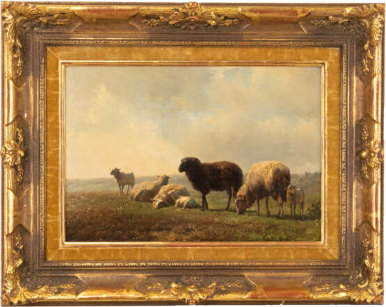 Schafe auf der Weide - фото 1