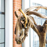 бюст лошади Натуральное дерево станковая скульптура Символизм Россия 2022 г. - фото 3