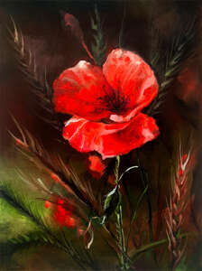 Poppy - a symbol of happiness