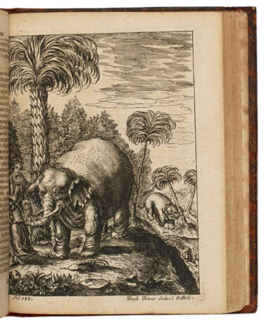 Elephantographia Curiosa, seu Elephanti descriptio - Foto 1