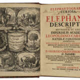 Elephantographia Curiosa, seu Elephanti descriptio - photo 2