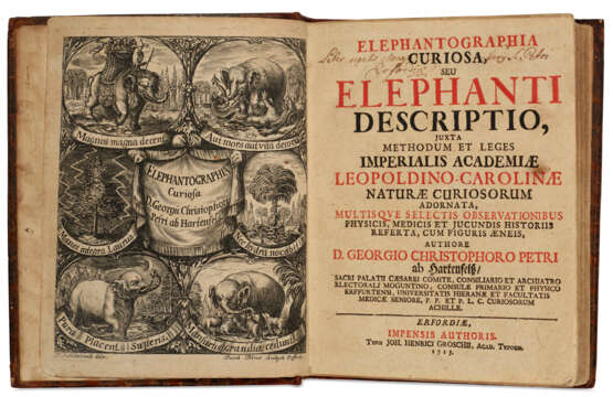 Elephantographia Curiosa, seu Elephanti descriptio - Foto 2