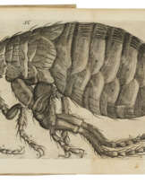 Observationes circa viventia