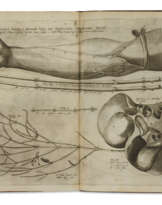 De venarum ostiolis, De formato foetu, etc.