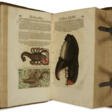 Historiae animalium liber IIII. qui est de piscium & aquatilium animantium natura - Auction archive