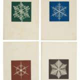 Snow crystals, observed by James Glaisher, Esq., F.R.S., from February 8th to March 10th, 1855. - Foto 1