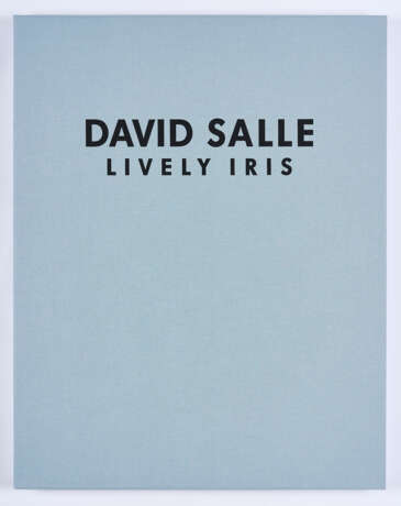 David Salle - photo 8