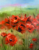Red poppies Red poppies