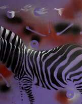 Purple zebra Purple zebra