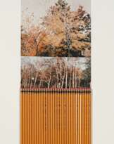 Hutchinson, Peter Arthur