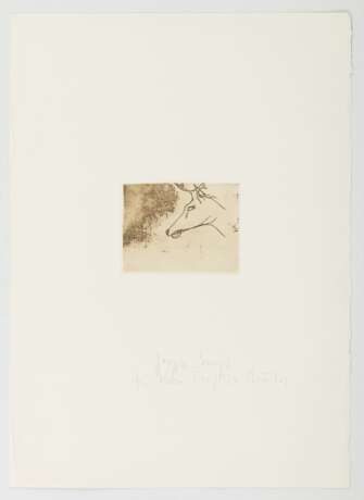 Beuys, Joseph - photo 2