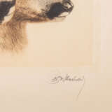 MEYER-EBERHARDT, KURT (also Curt, 1895-1977), 3 etchings: Young animals, - Foto 3
