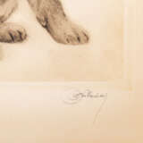 MEYER-EBERHARDT, KURT (also Curt, 1895-1977), 3 etchings: Young animals, - photo 5